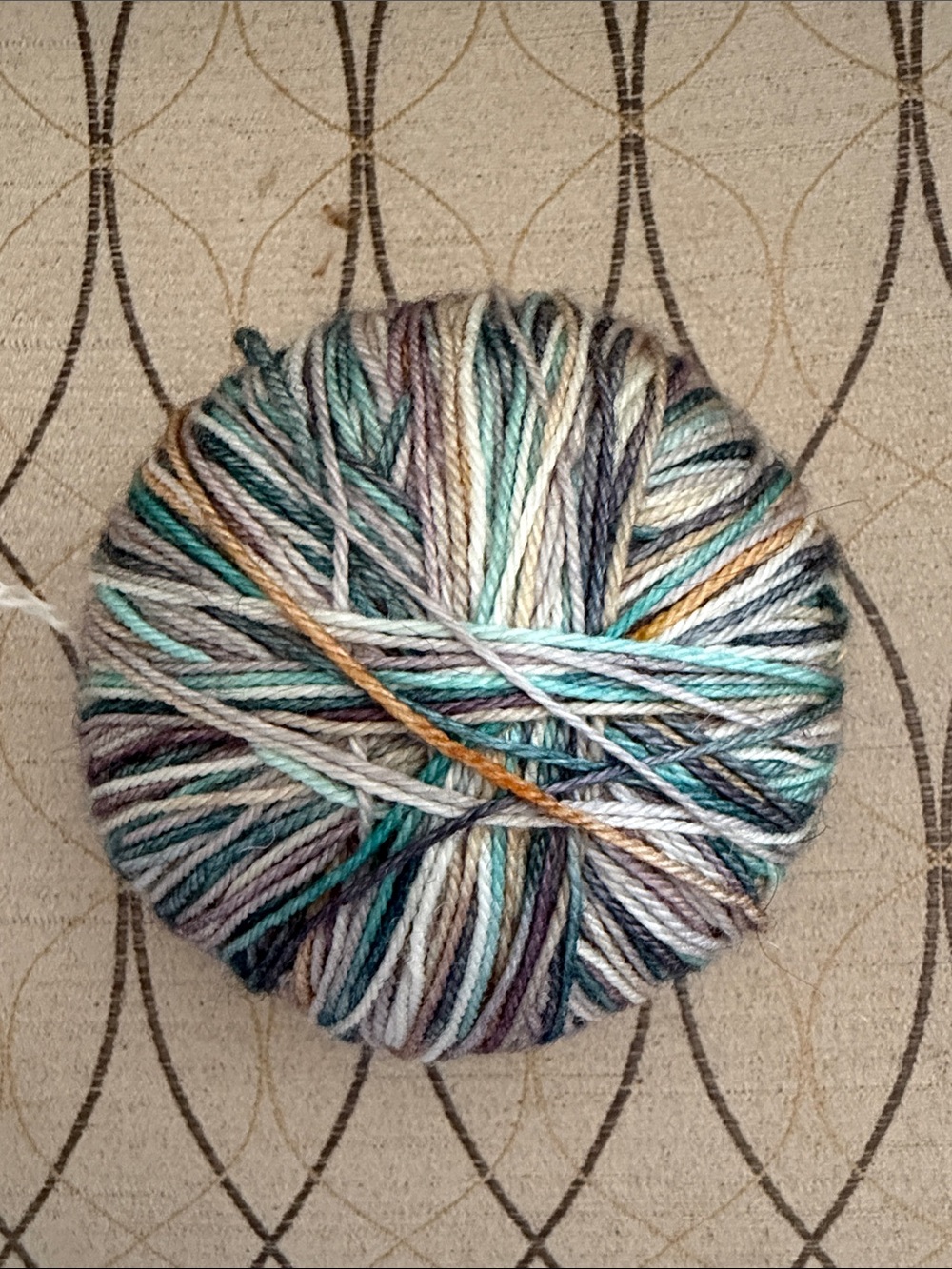 1 skein of Manos de Uruguay “Alegria” sock yarn